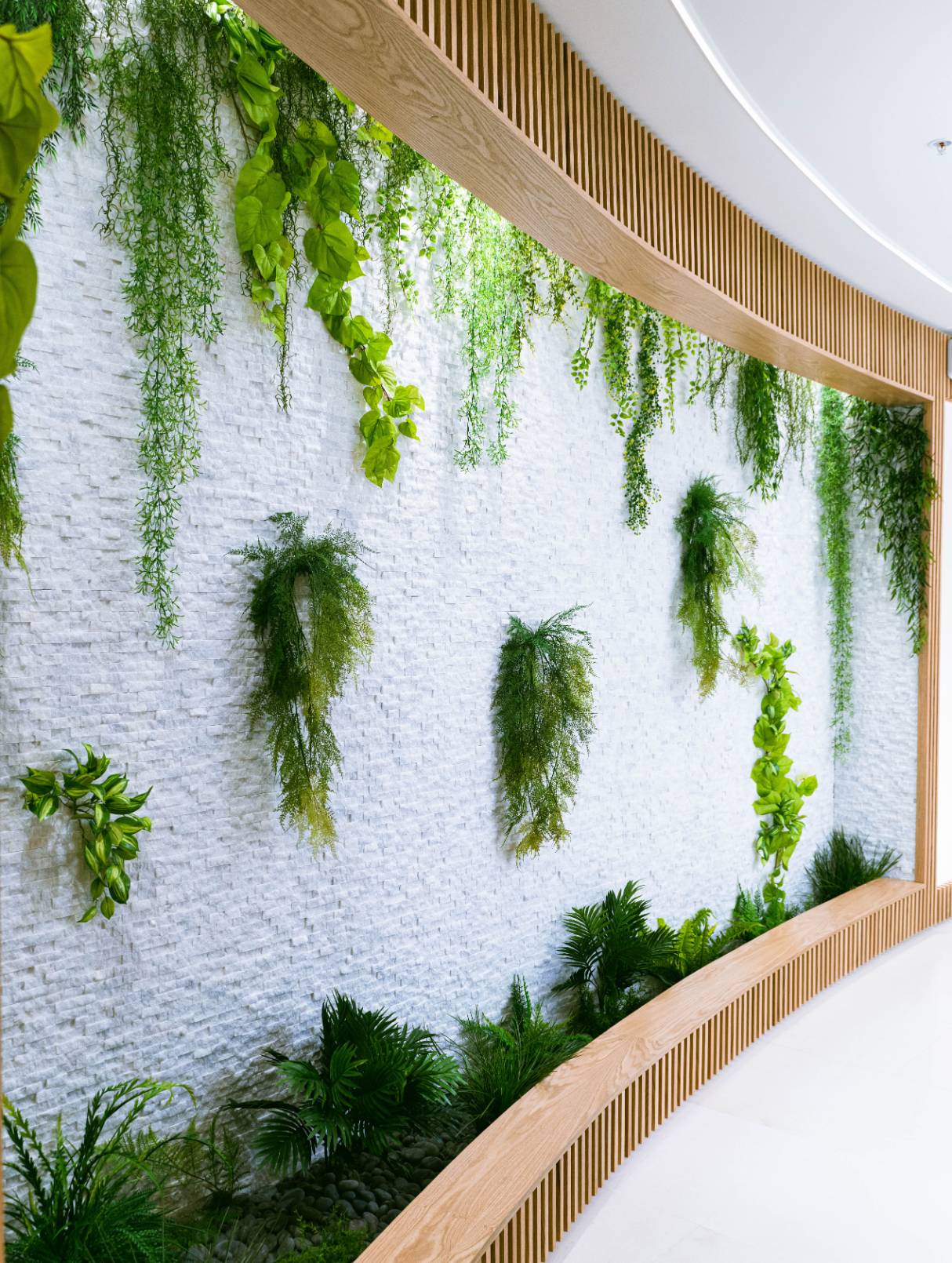 plant accent